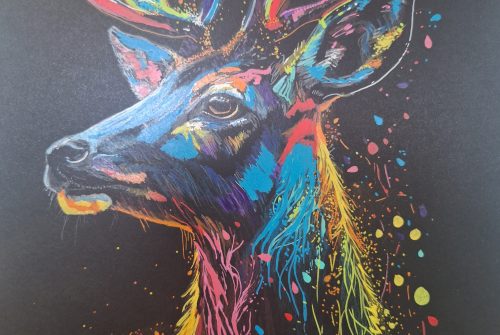 Exposition de peinture de Peggy Leclaire