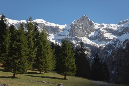 Springtime tour of the Cirque du Fer-à-Cheval