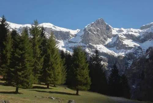 Springtime tour of the Cirque du Fer-à-Cheval