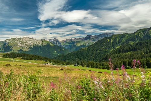Itinéraire pédestre : balade en montagne, par télécabine, à Samoëns 1600