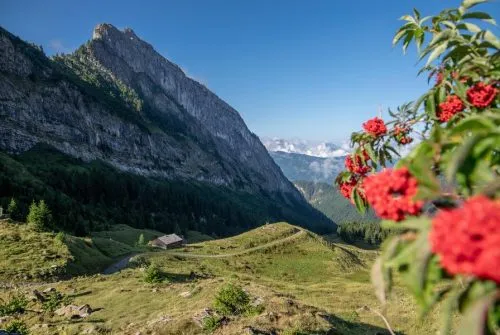 Hiking itinerary: Bostan, Golèse and Folly refuges, with Lac des Chambres, from the village of Samoëns