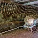 © Clos Parchet Farm and Folk Museum Tour in French_Samoëns - Christian Martelet