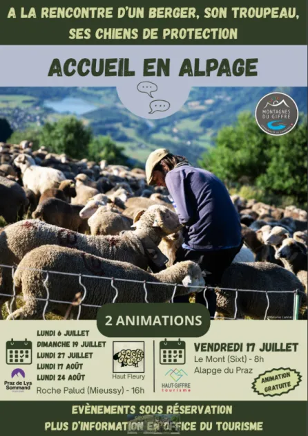 Accueil en alpage - A la rencontre d'un troupeau et de ses patous_Sixt-Fer-à-Cheval