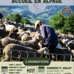 Accueil en alpage - A la rencontre d'un troupeau et de ses patous_Sixt-Fer-à-Cheval