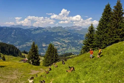 La montée du Sairon