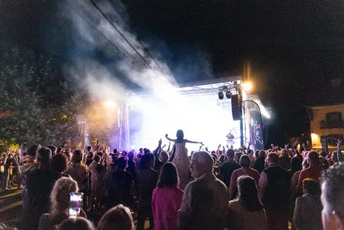 Summer Lake Party
