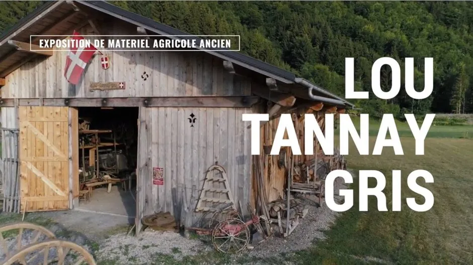 Lou Tannay Gris