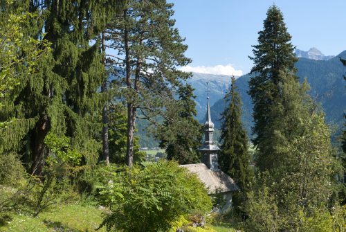 Visite guidée du Jardin botanique alpin La Jaÿsinia