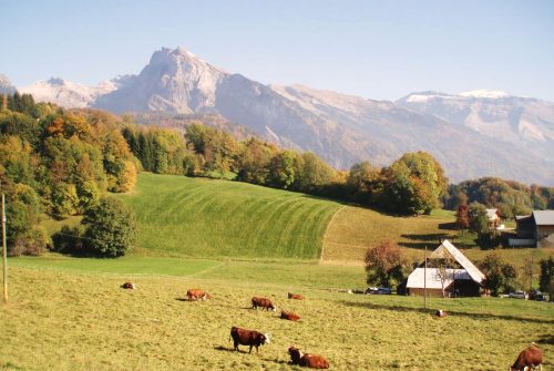 Walking itinerary: Bérouze-Mathonex-Vigny