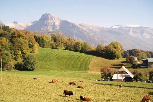 Walking itinerary: Bérouze-Mathonex-Vigny