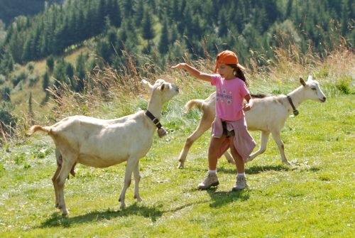 Alpage de la Vieille