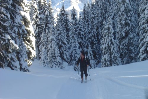 Cours de ski de fond - ESF