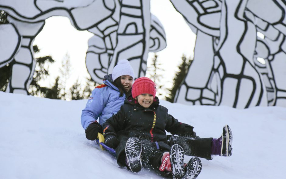 © Toboggan slide - flaine.com