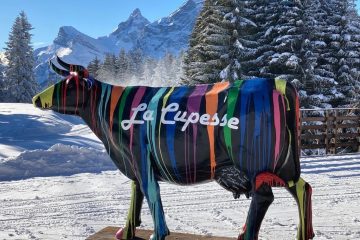 © La Cupesse - Yann Perrillat