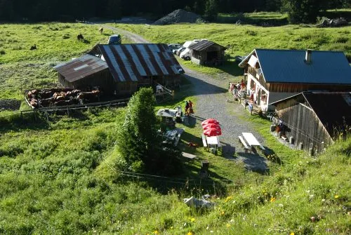 Hiking itinerary: Grande Traversée des Alpes - GR 5 - Chardonnière - Samoëns