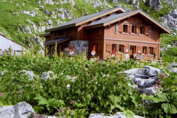 © ete_vogealle - Dominique Rabot