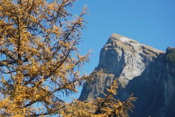 © Le Criou - Aouille du Criou - OT Samoëns (photothèque)