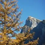 © Le Criou - Aouille du Criou - OT Samoëns (photothèque)