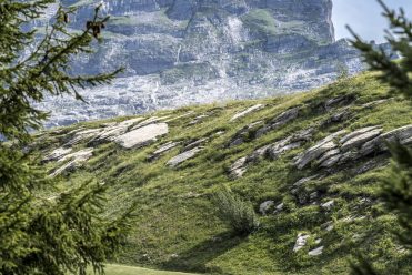 Activités Golf Les Carroz