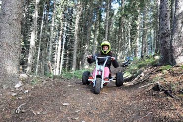 Mountain Cart Les Carroz