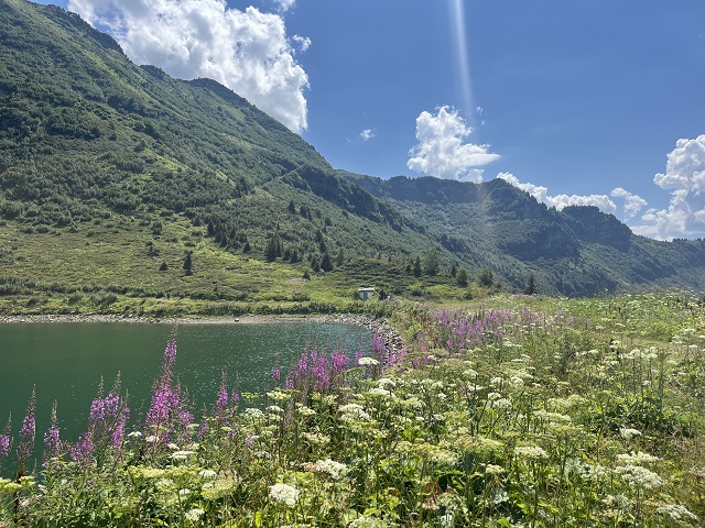 photo 13-08-2024 14 41 38