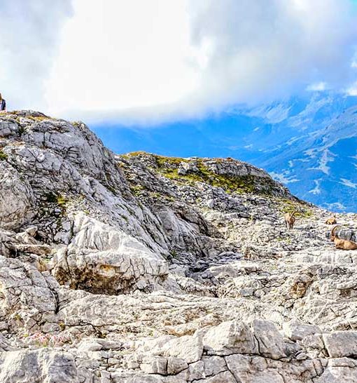 Randonnées Grand Massif