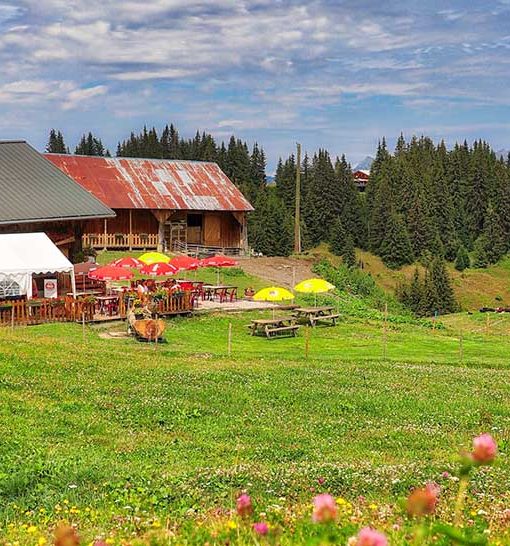 Randonnées Morillon