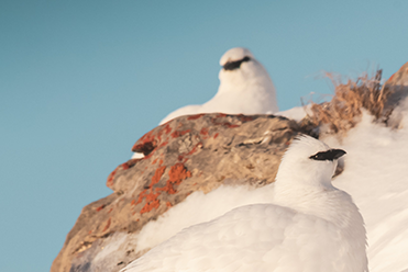 Grand-Massif_Activite_Nature