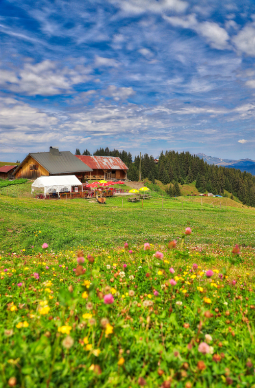 Design sans titre (40)