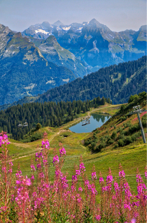 Design sans titre (41)