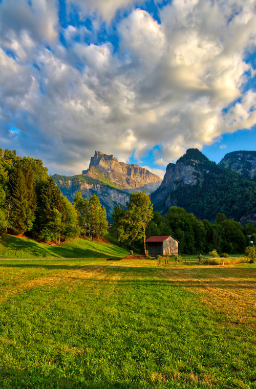 Design sans titre (42)