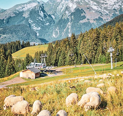 Morillon_Lac_Montagne