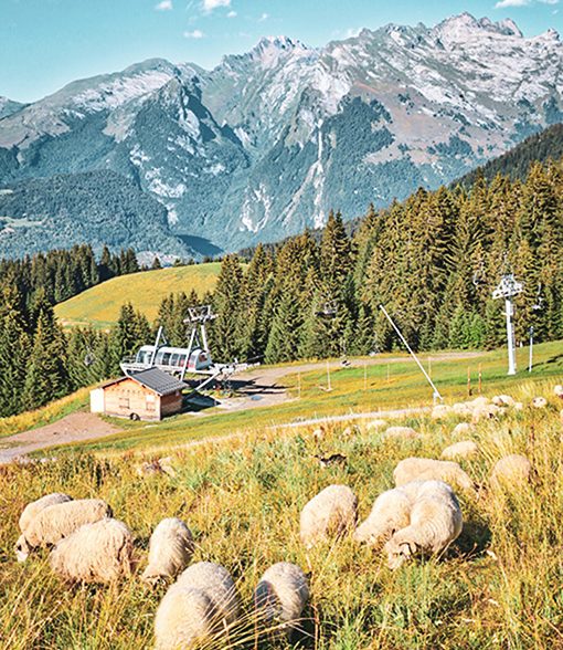Morillon_Lac_Montagne