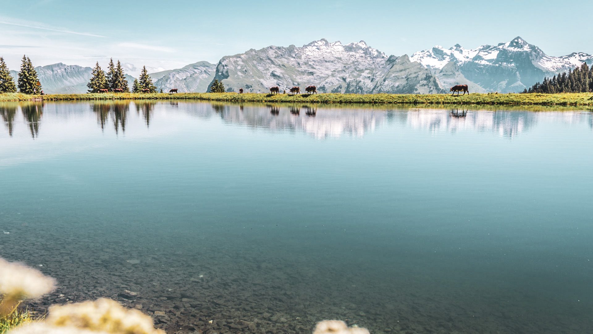 Grand_Massif_Homepage